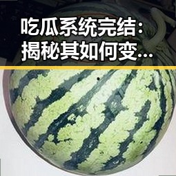 吃瓜系统完结：揭秘其如何变革娱乐圈八卦信息的透明度