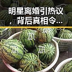 明星离婚引热议，背后真相令人深思