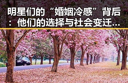 明星们的“婚姻冷感”背后：他们的选择与社会变迁的隐秘线索✨