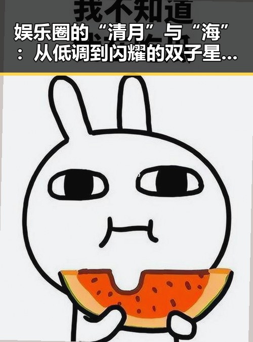 娱乐圈的“清月”与“海”：从低调到闪耀的双子星故事